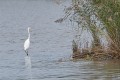 francoise_c brenne sept 2017 2